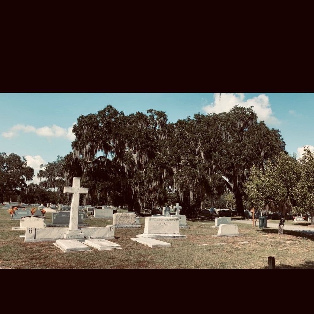 America 2020: Algiers // 27-10-20