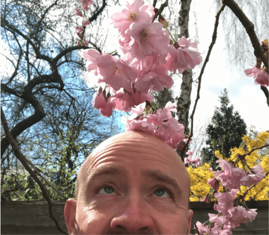 Delicate Musical Petals with Mr Scruff