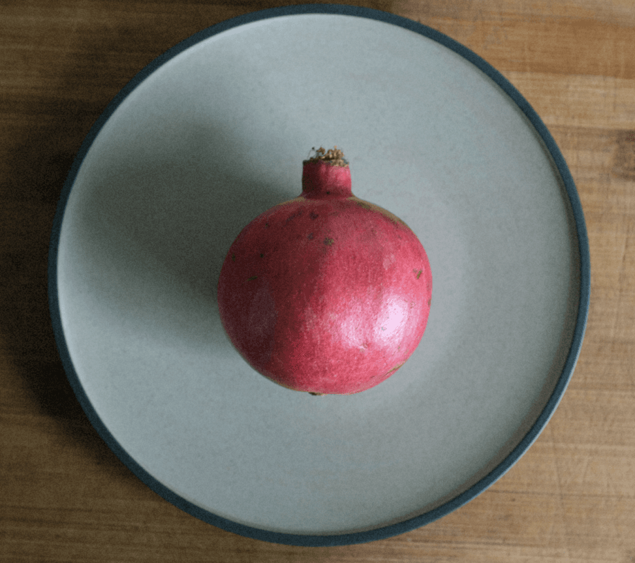 Circular Sounds: Hector Plimmer