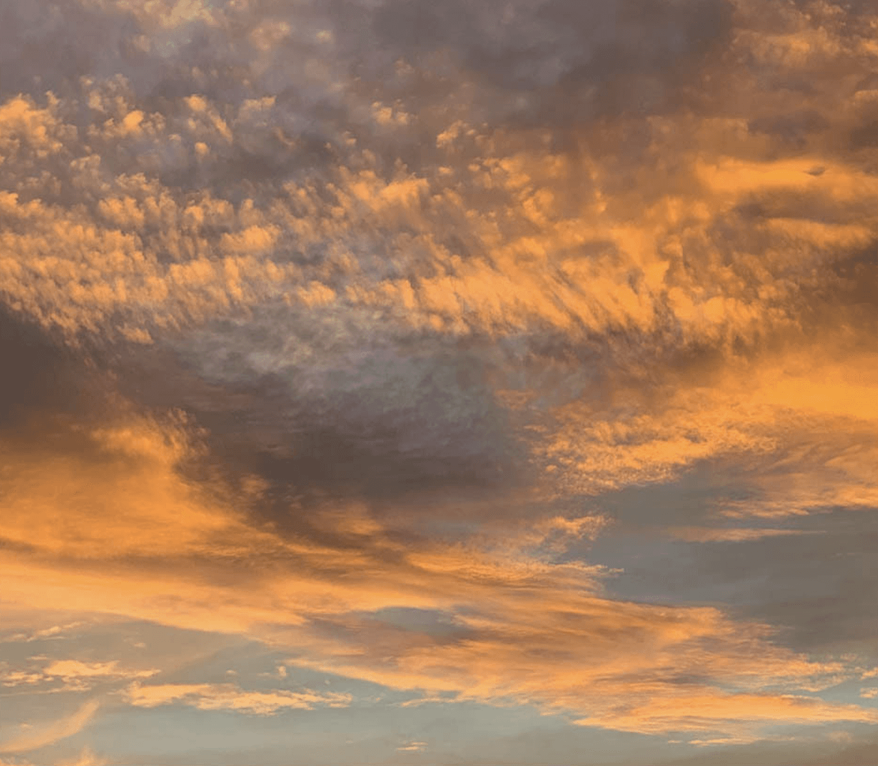 Ambient Flo: Coldcut