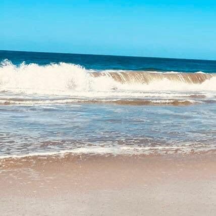 ¡QUE VIVA LA MÚSICA! CHAPTER 2: EL DRÁGON CRIOLLO & EL PALMAS