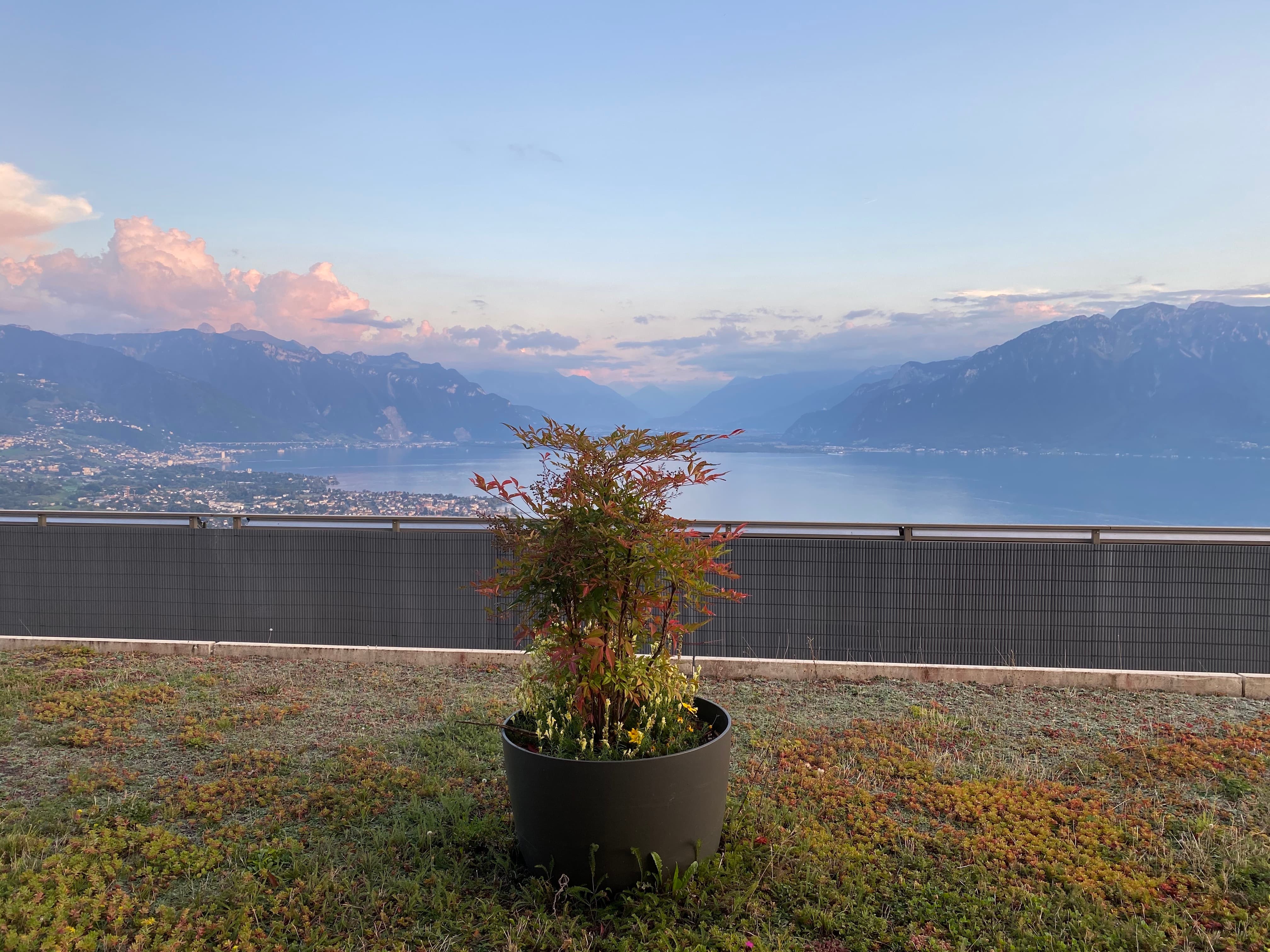 Nitin Sawhney - Nature