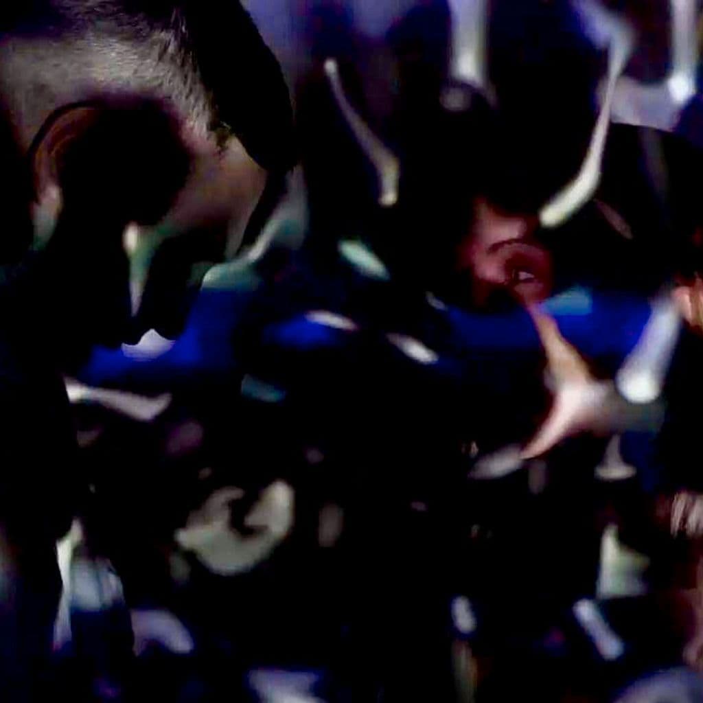 International Tribe: Insert // 14-01-19