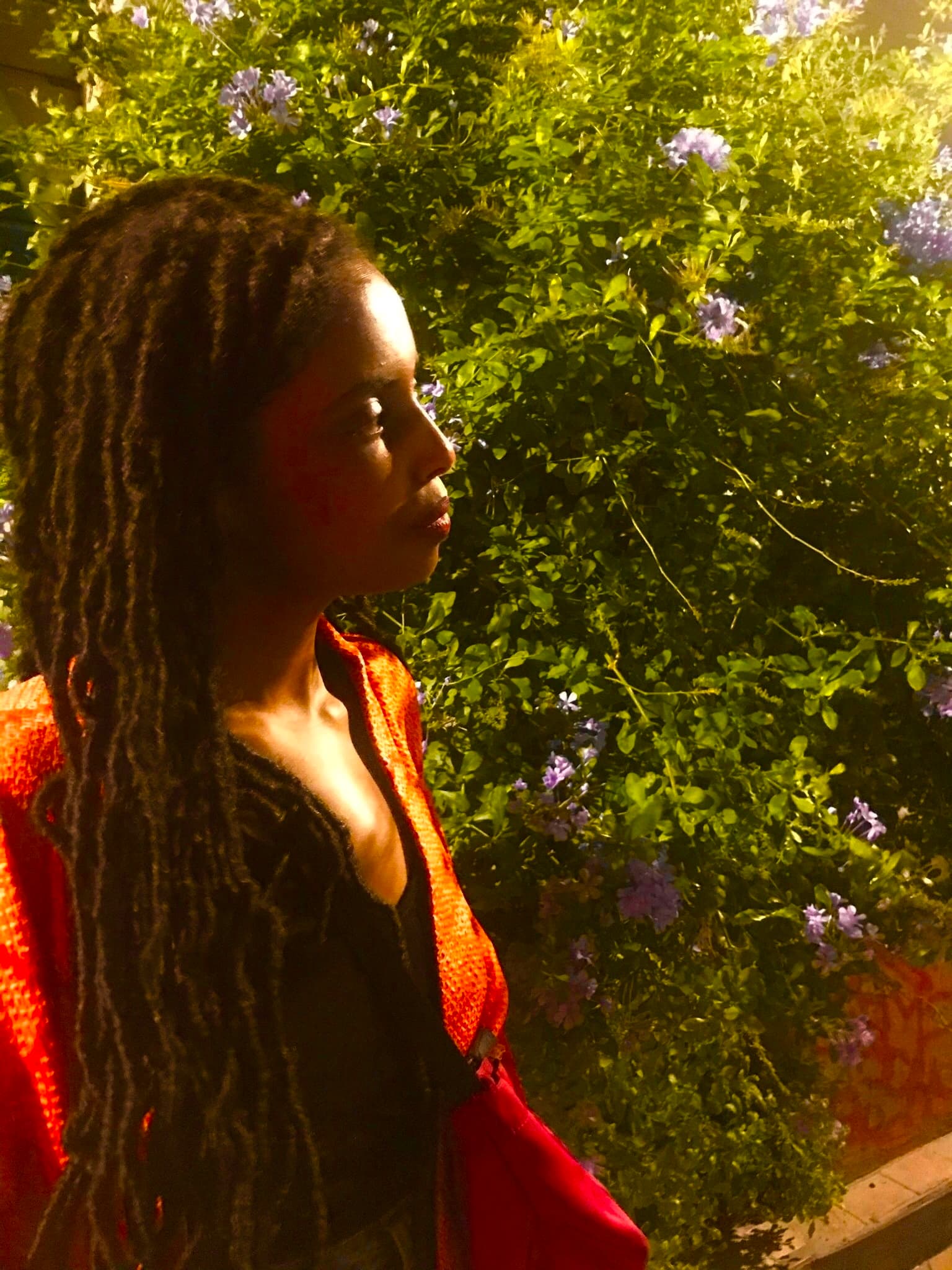 The Garden Is Open: Hodan Stryene with Sanka Oud