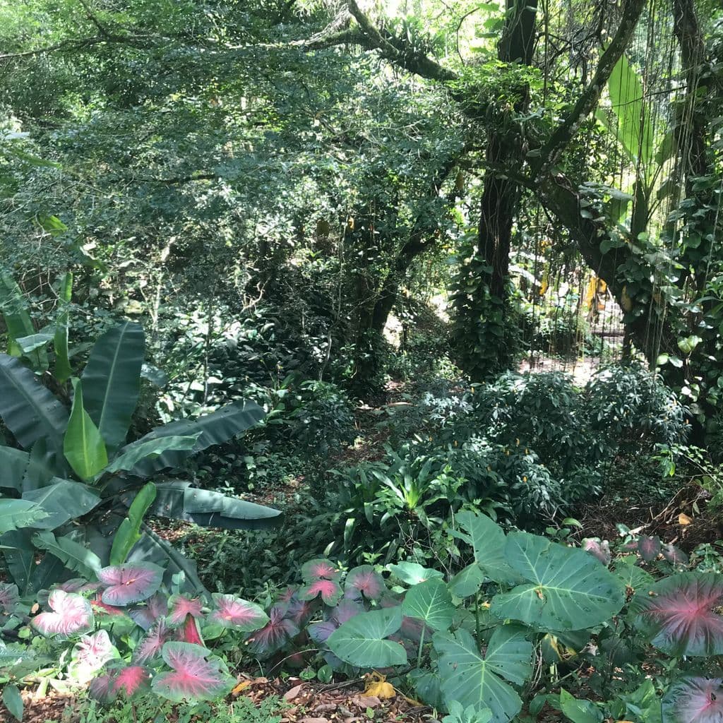 Thiago Nassif // 04-01-21