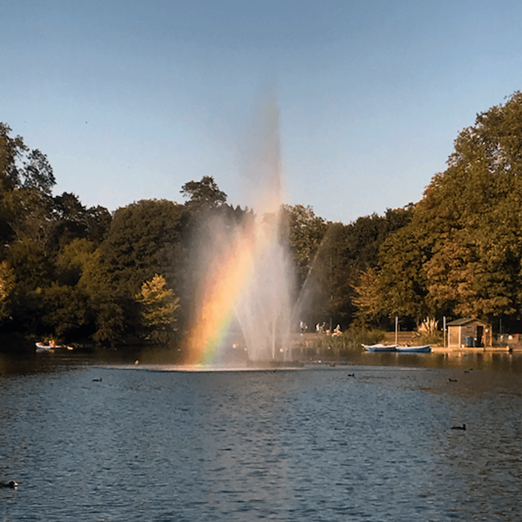 Spectrums with Cosmo Sofi // 12-10-20