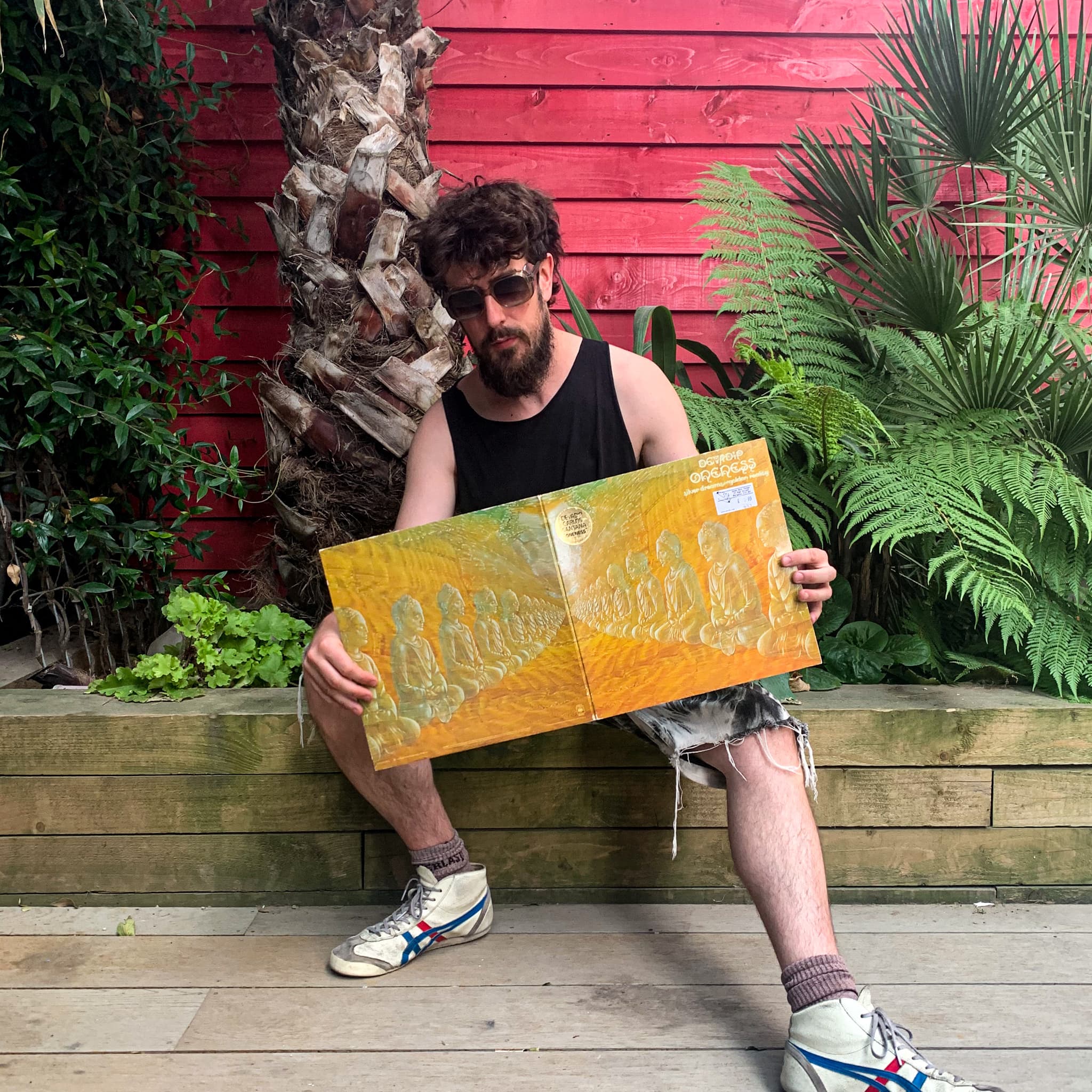 Oscillations: Danalogue