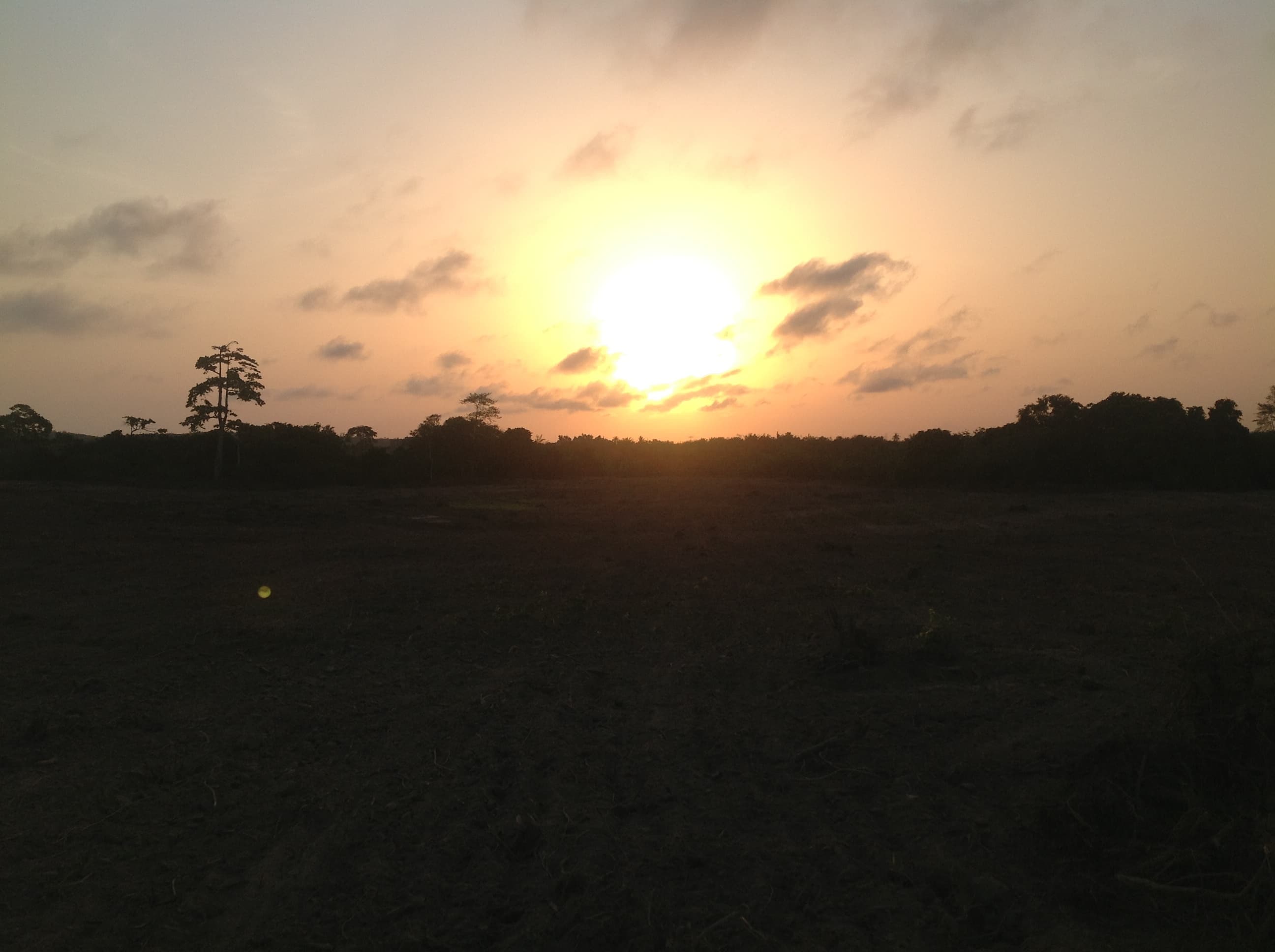 Mothership Connection: Pete BBE