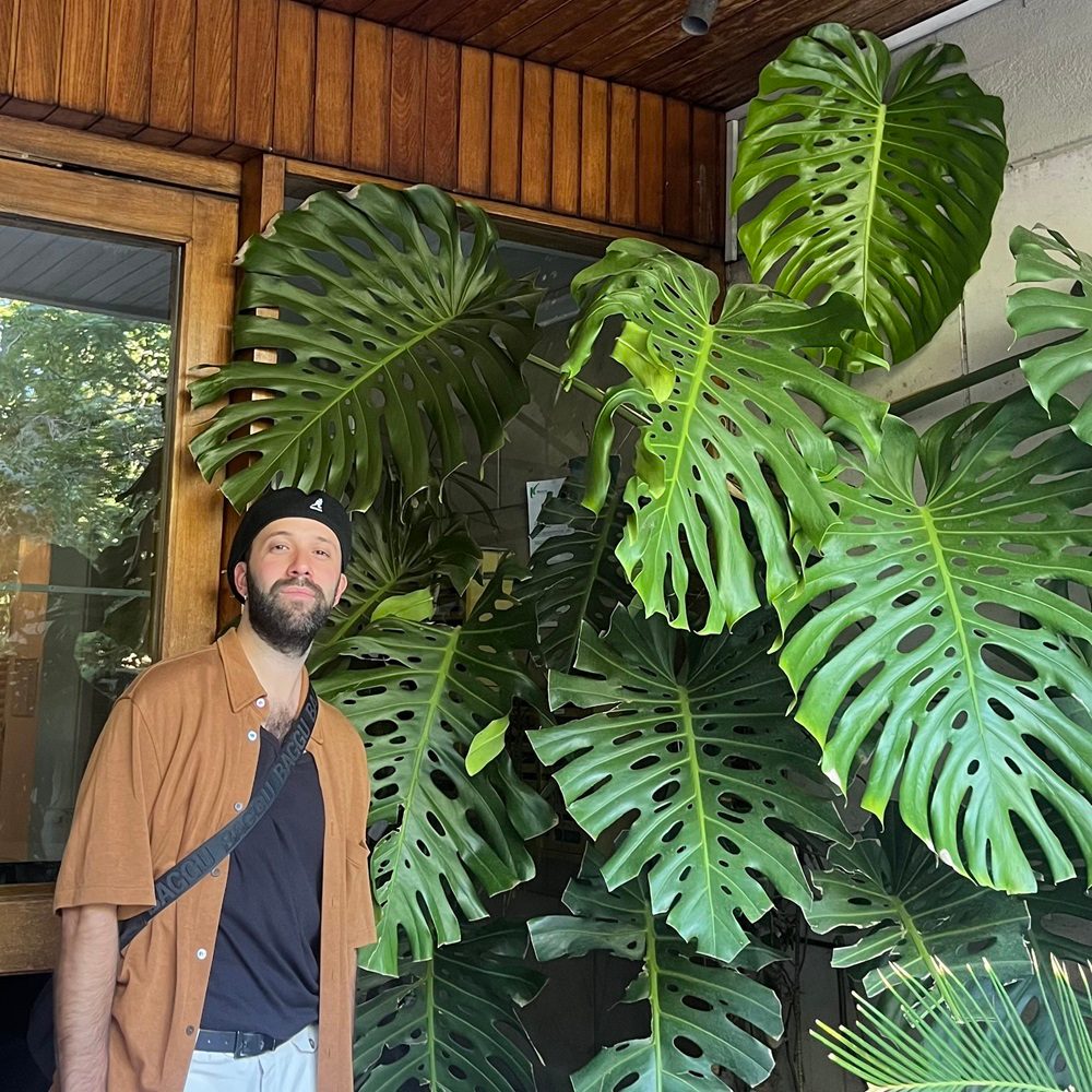 SHUSH curates: Orlando Rosé