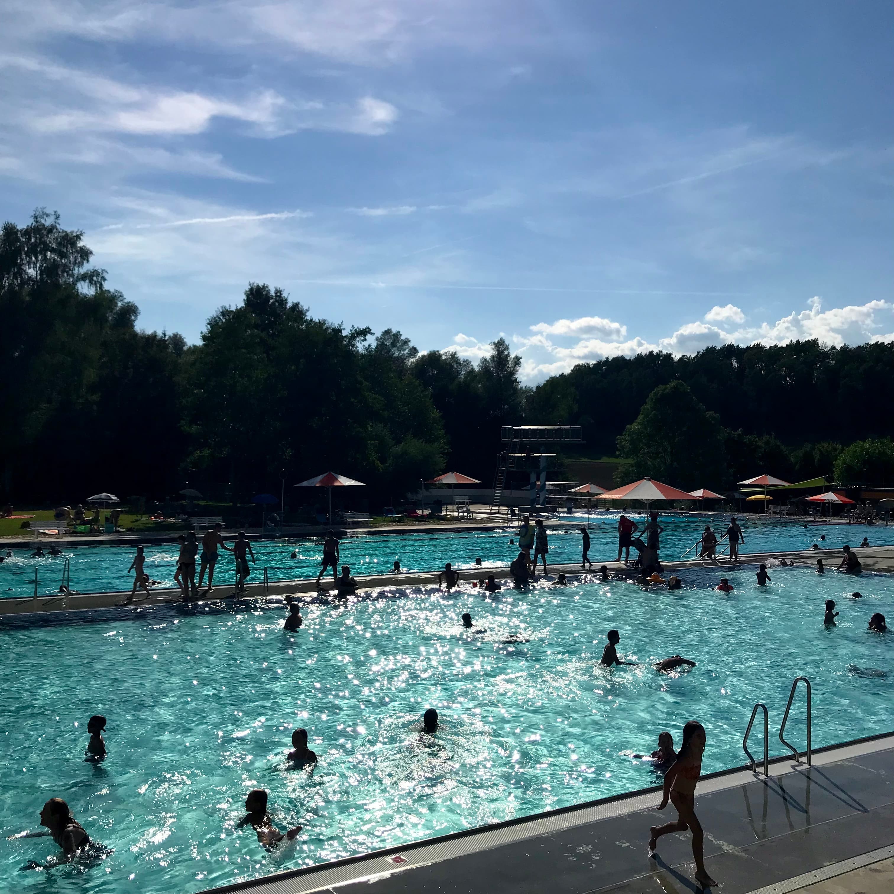 ¡QUE VIVA LA MÚSICA! CHAPTER NO.6 with El Dragón Criollo & El Palmas