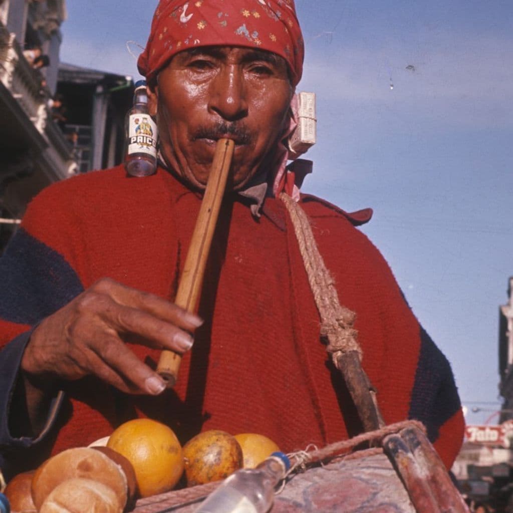 Closer to the Sun: Quixosis with Malafama