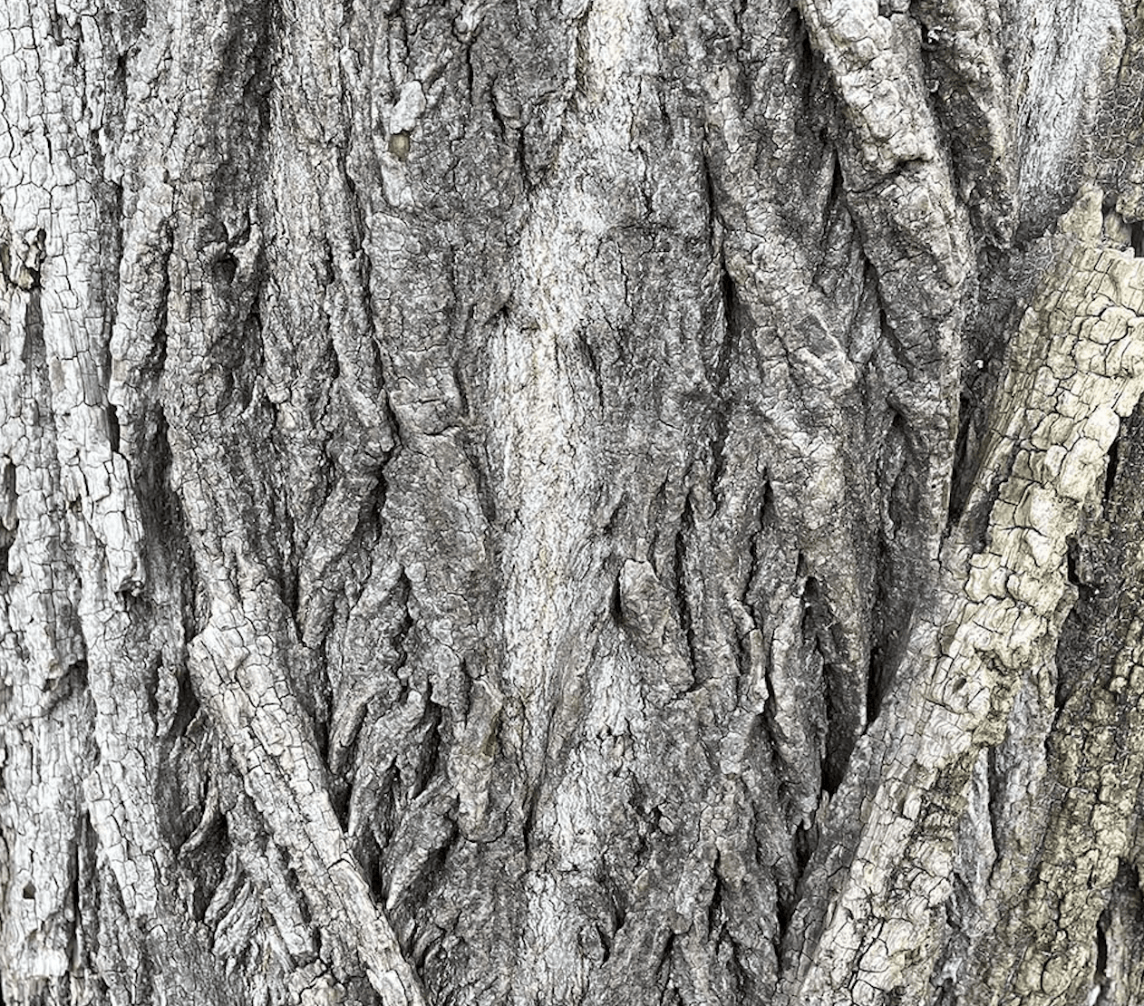 Ambient Flo with Richard Norris