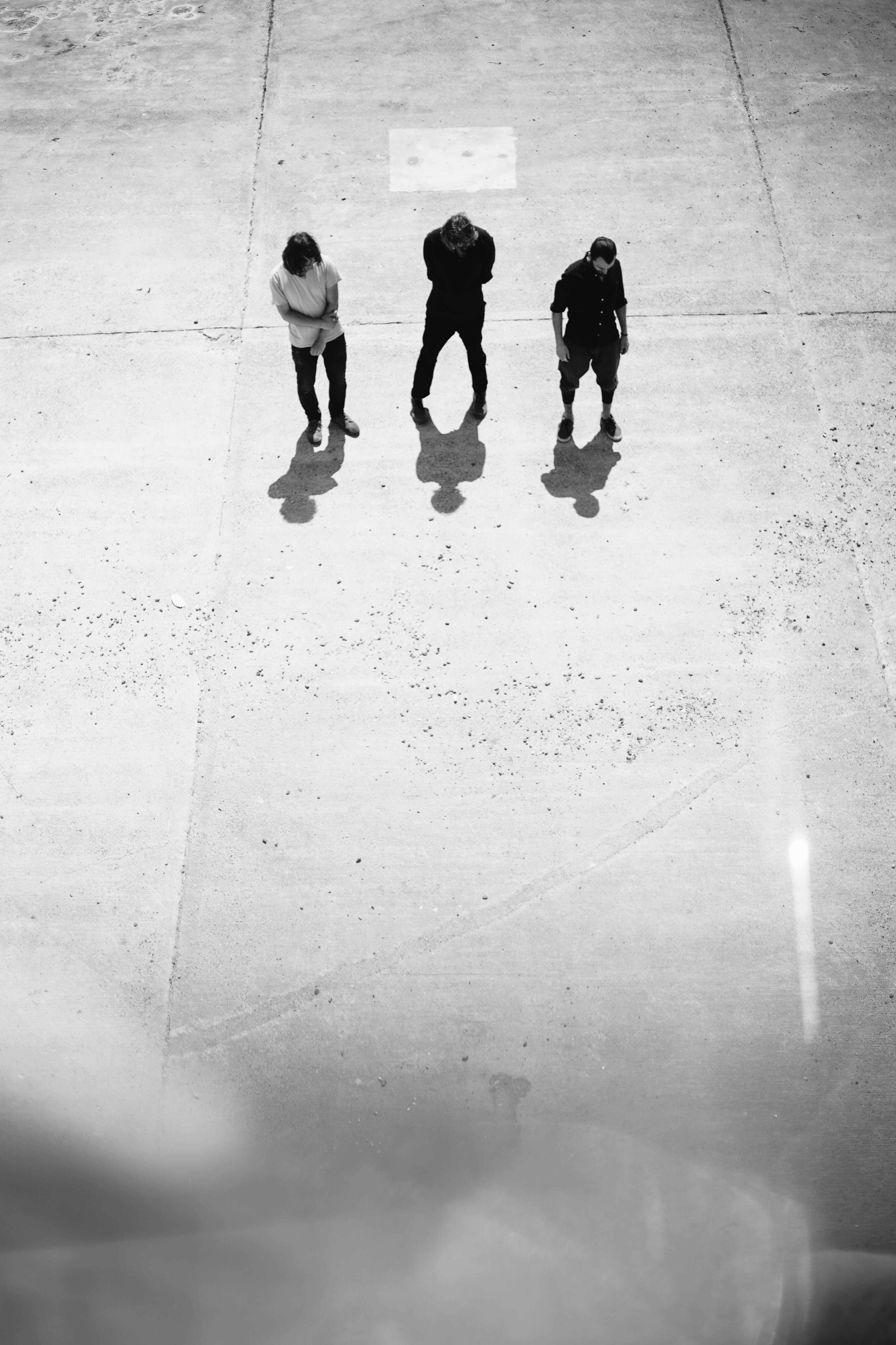 Gondwana Records: Mammal Hands