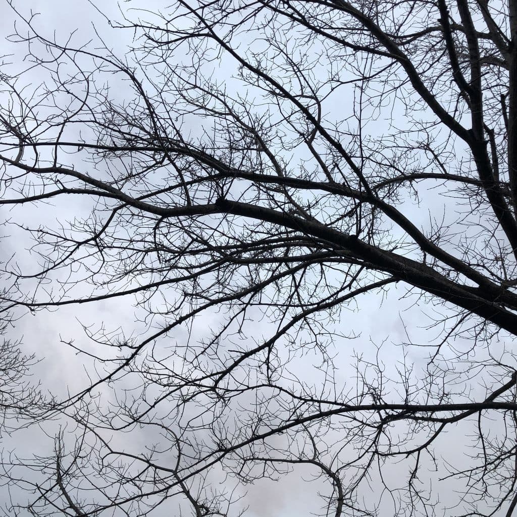 WW Melbourne: Prequel // 27-08-19