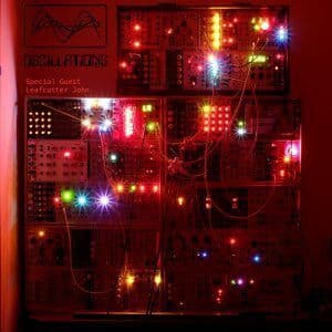 Oscillations: Danalogue with Leafcutter John