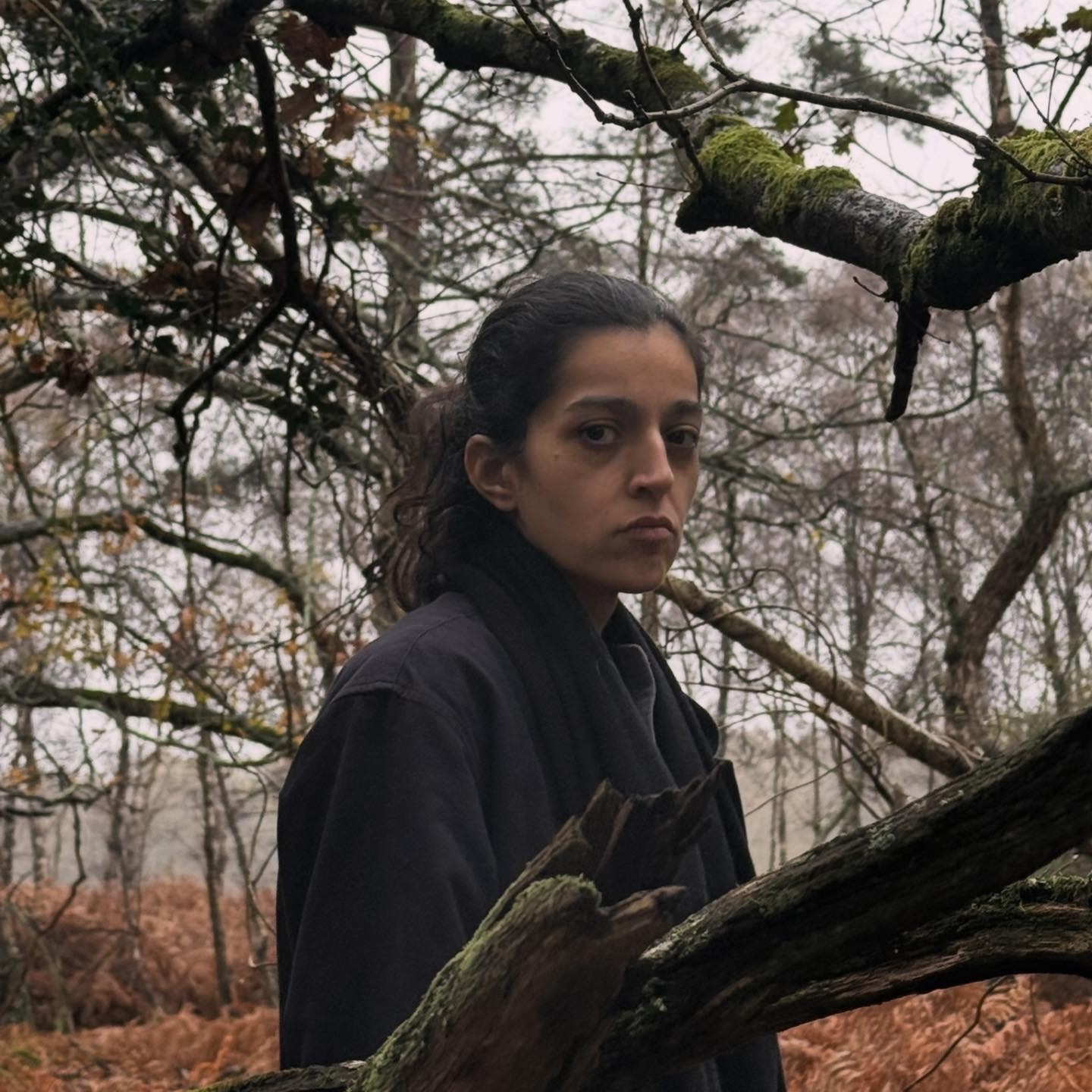 Anahita Shamsaei