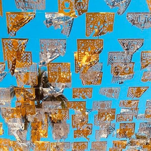 ¡QUE VIVA LA MÚSICA! Chapter 1: El Drágon Criollo & El Palmas