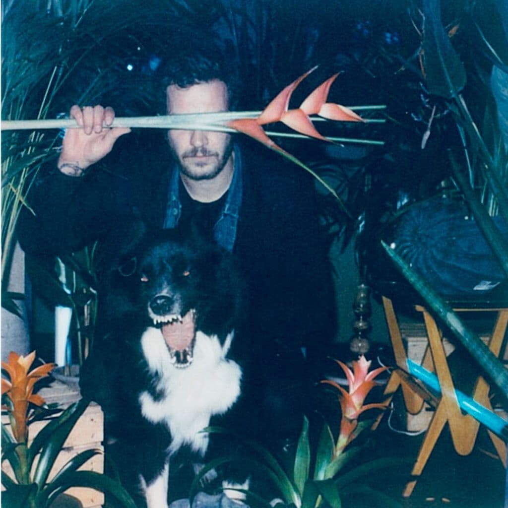 African Acid Is The Future with Wolfonacid // 31-01-2019