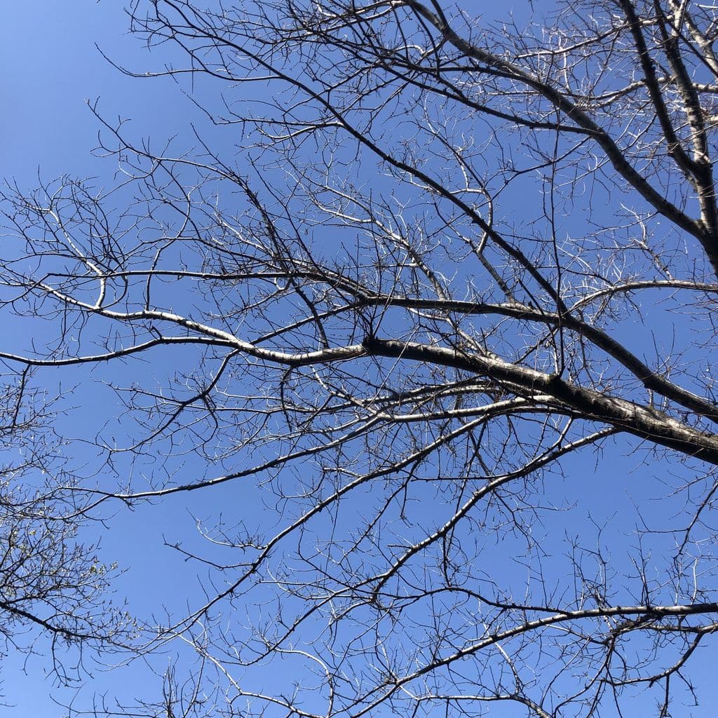 WW Melbourne: Prequel // 08-10-19