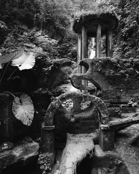 Rosie Lowe Takeover: In Order to Dream with Tom Morgan