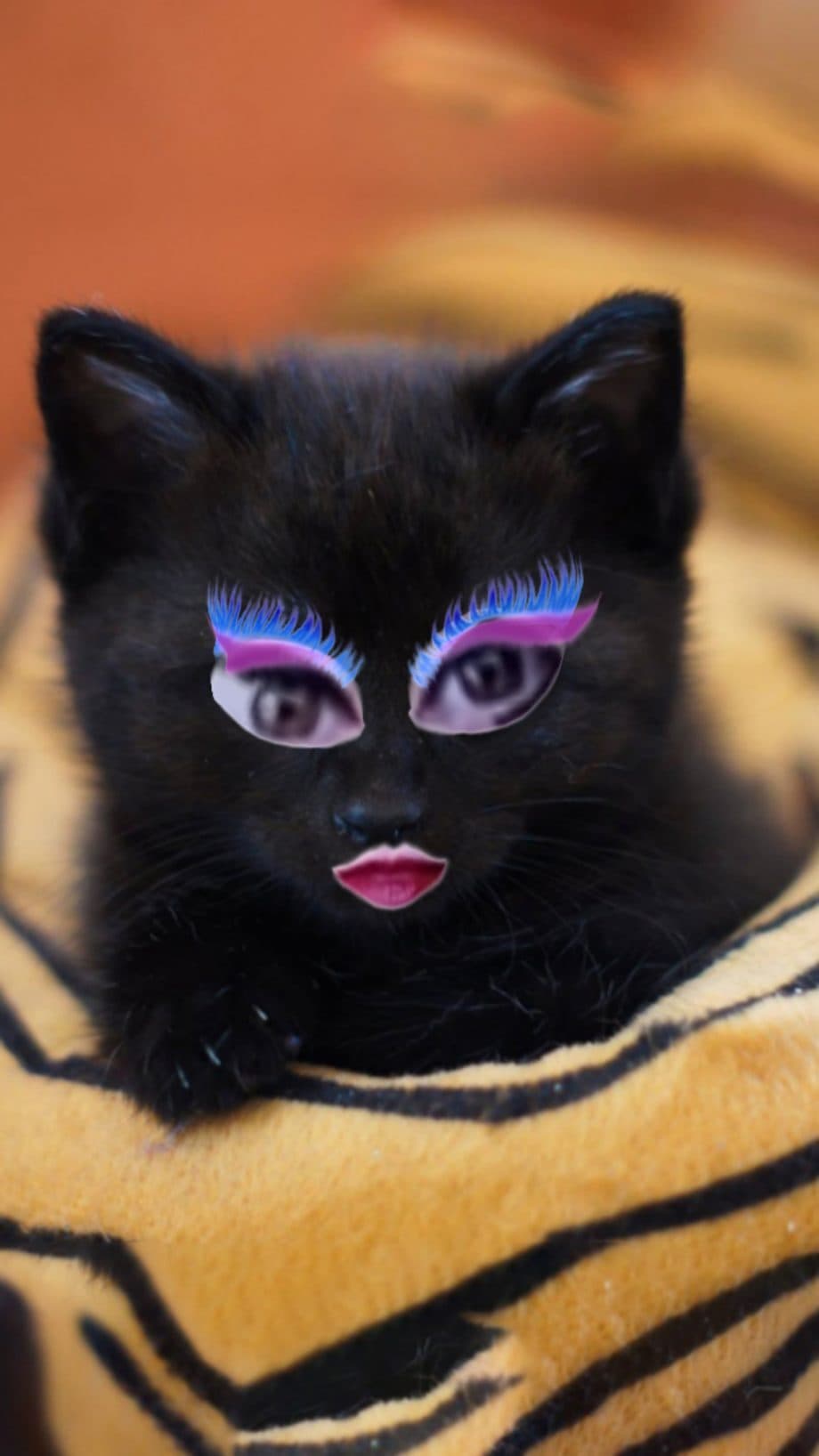 THE NELLY BOUM SHOW: SEX