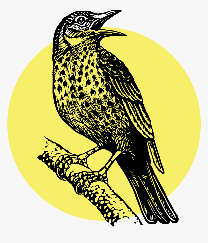 #NoMusicOnADeadPlanet