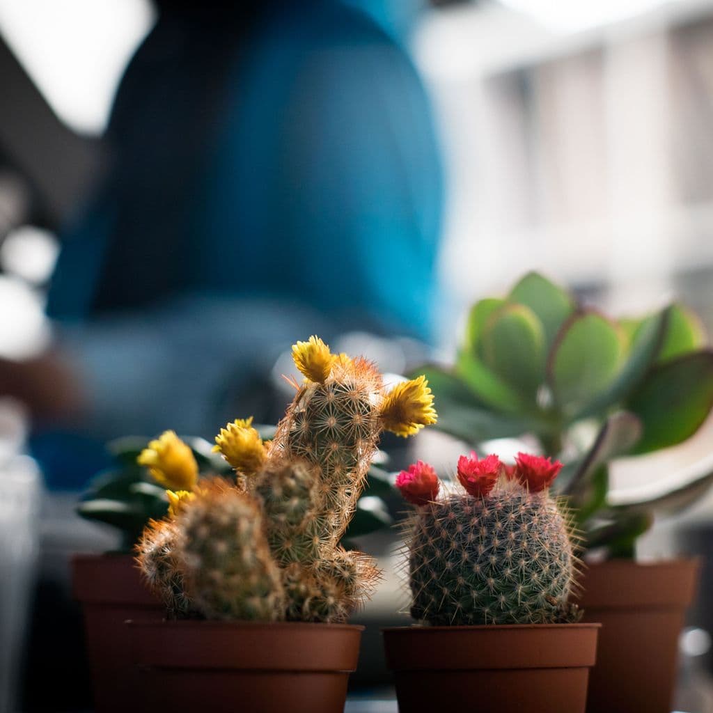 Thris Tian // 30-11-16