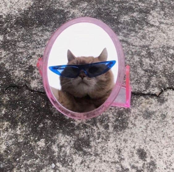 Breakfast Club Coco: The Cocositas Christmas Party