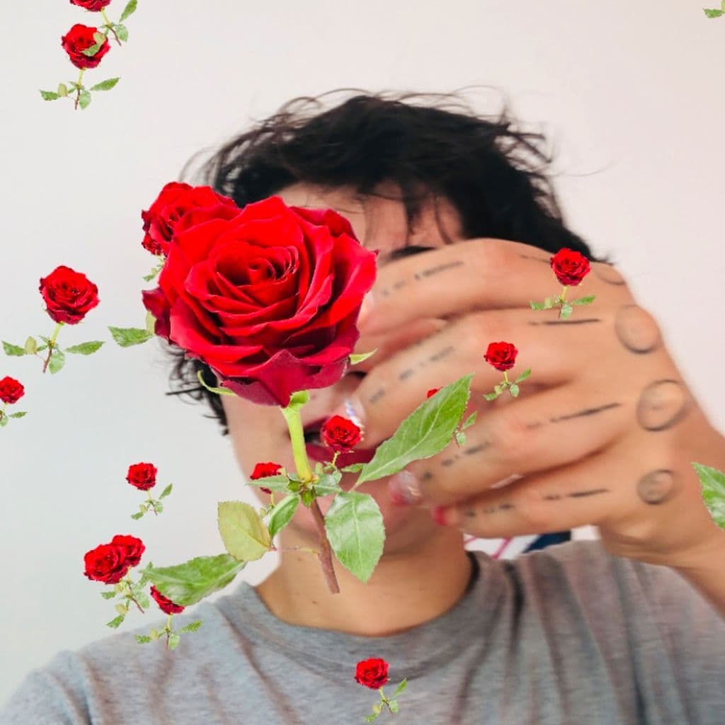 The Nelly Boum Show: Roses