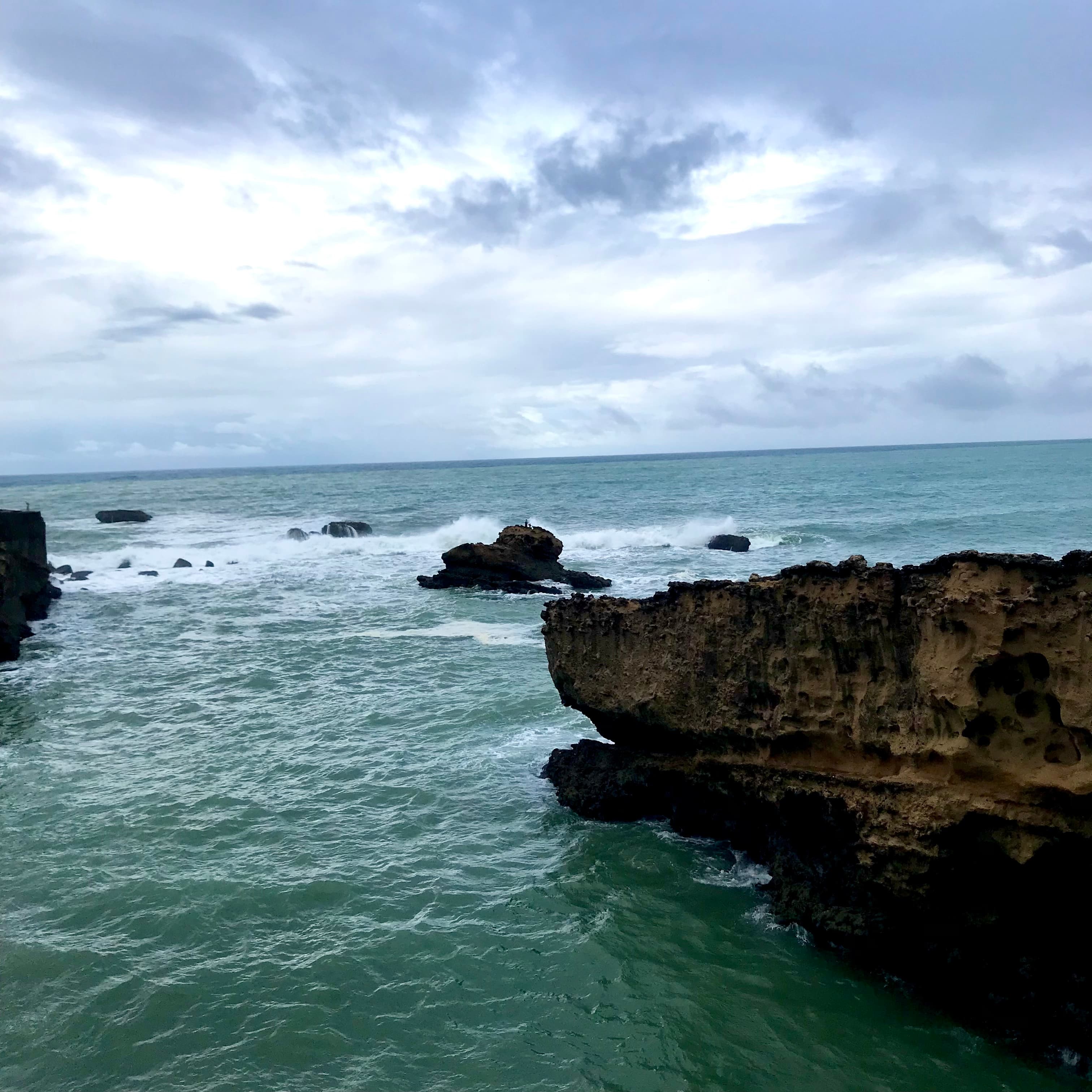 ¡Que Viva La Música! El Dragón Criollo & El Palmas