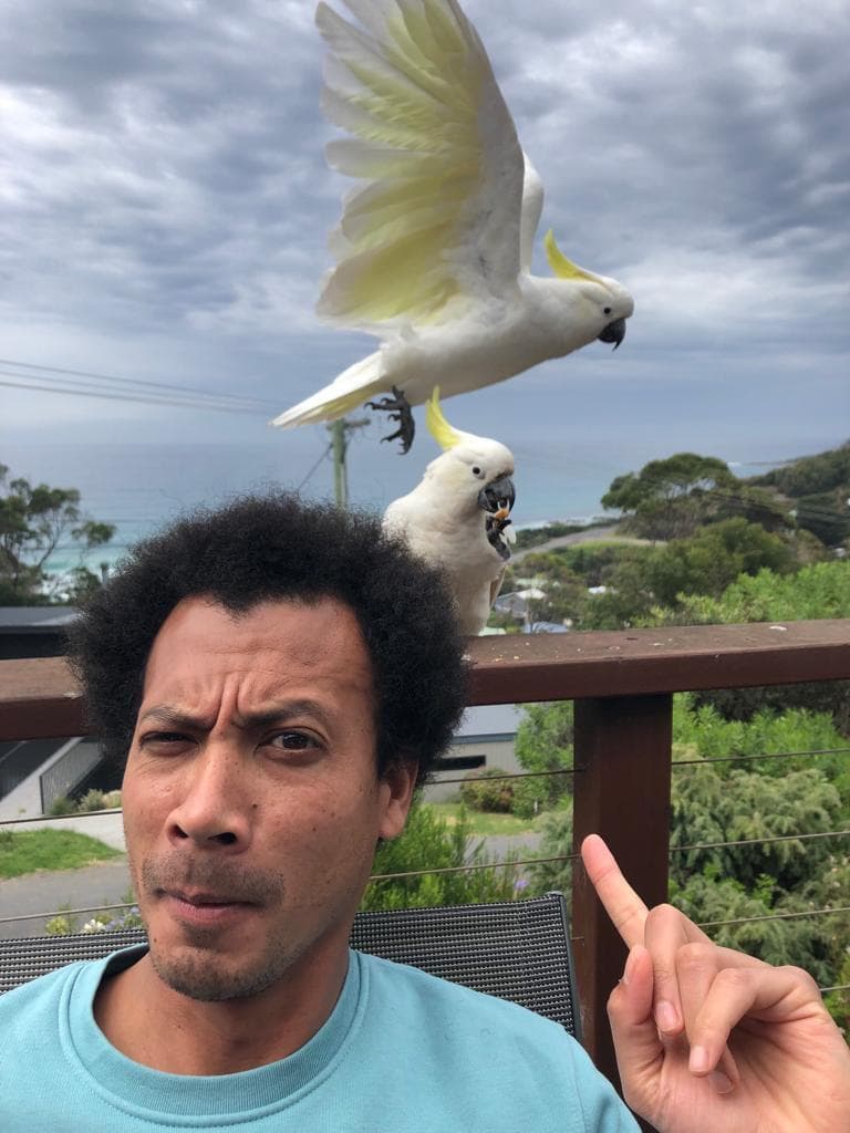 Esa presents Great Ocean Road with Finding Figaro & Adriana