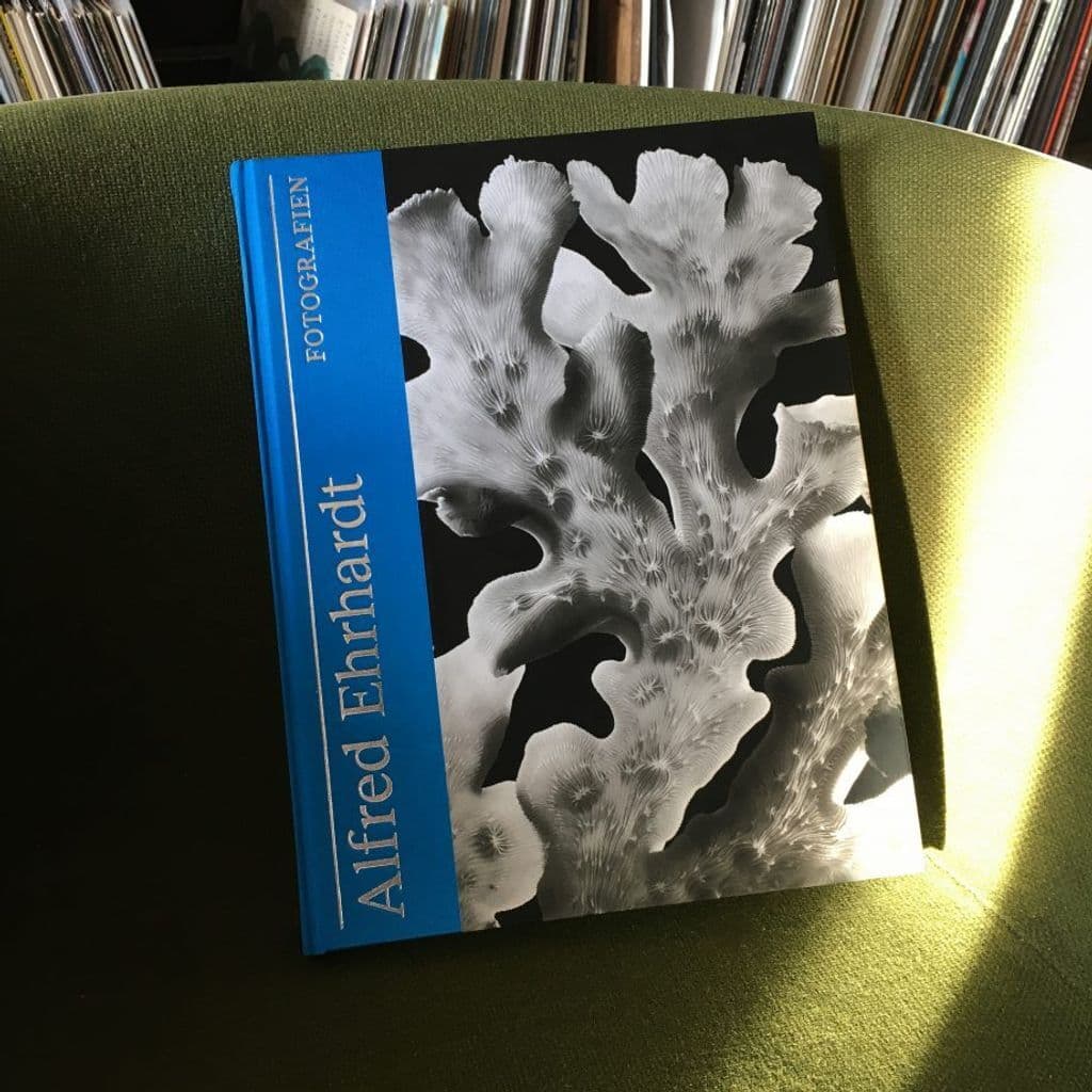 Music for Books with Mehmet Aslan