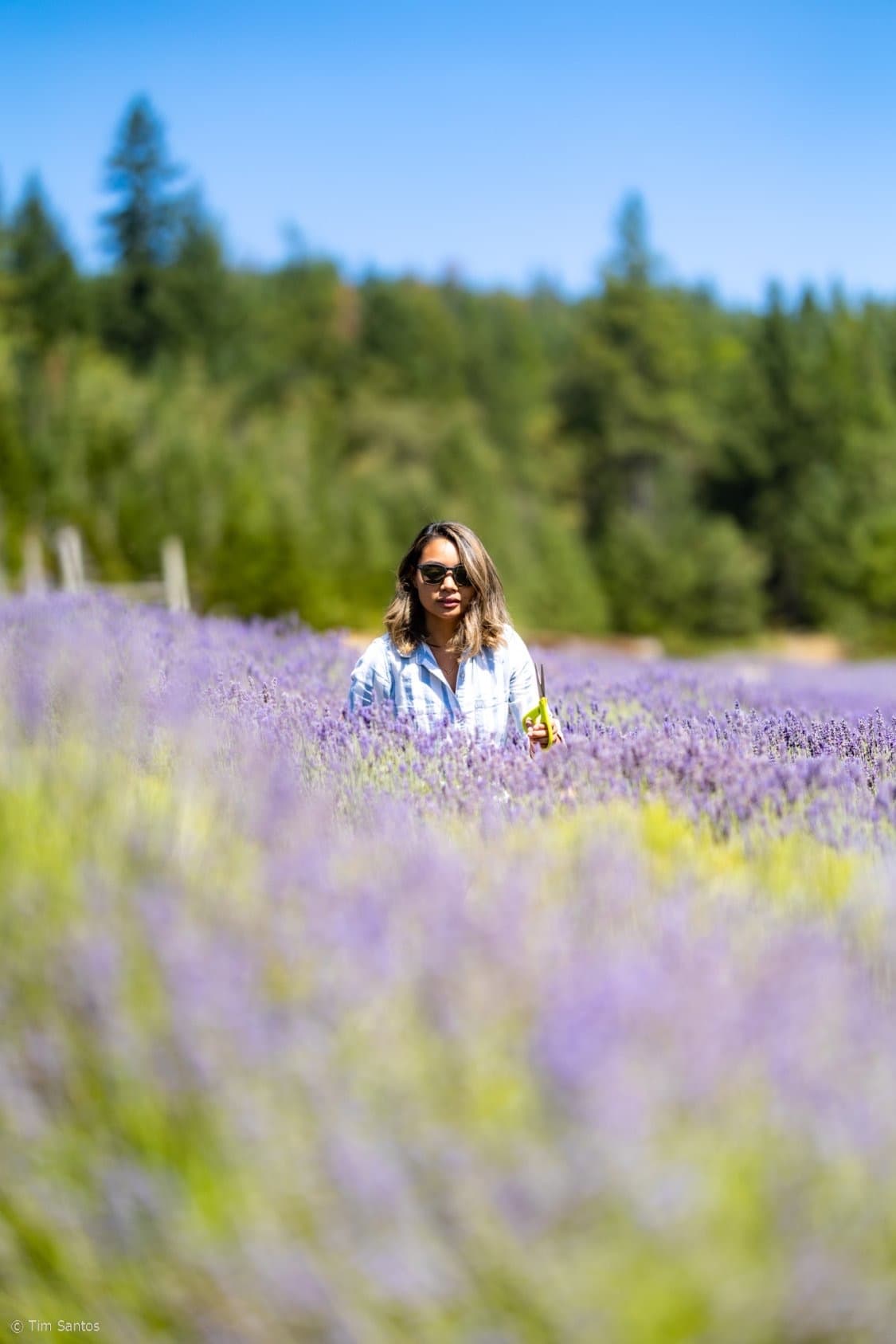 Artform Radio: Marissa Monroe