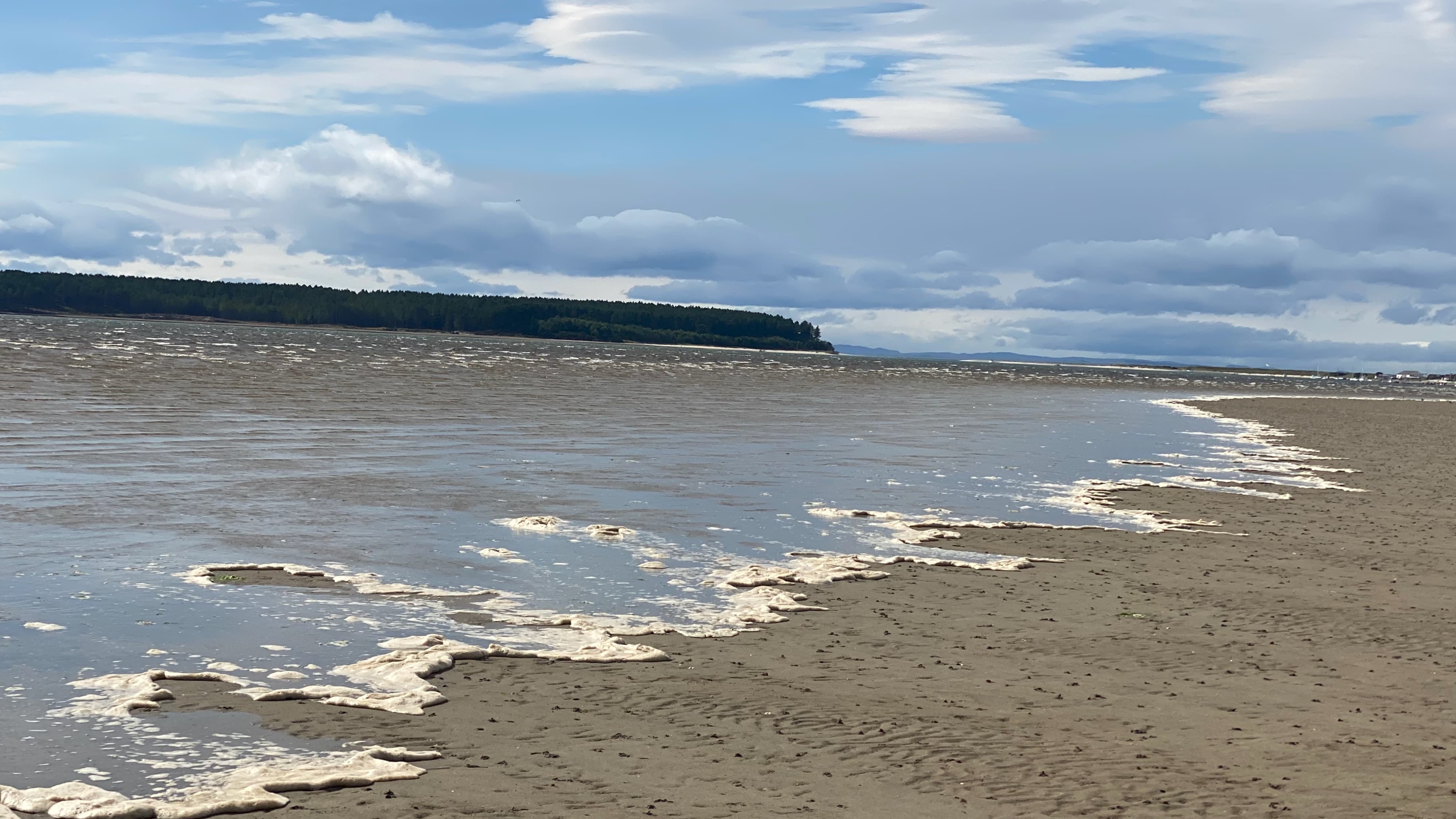 Un/Familiar Geographies | Africa in Motion 2021