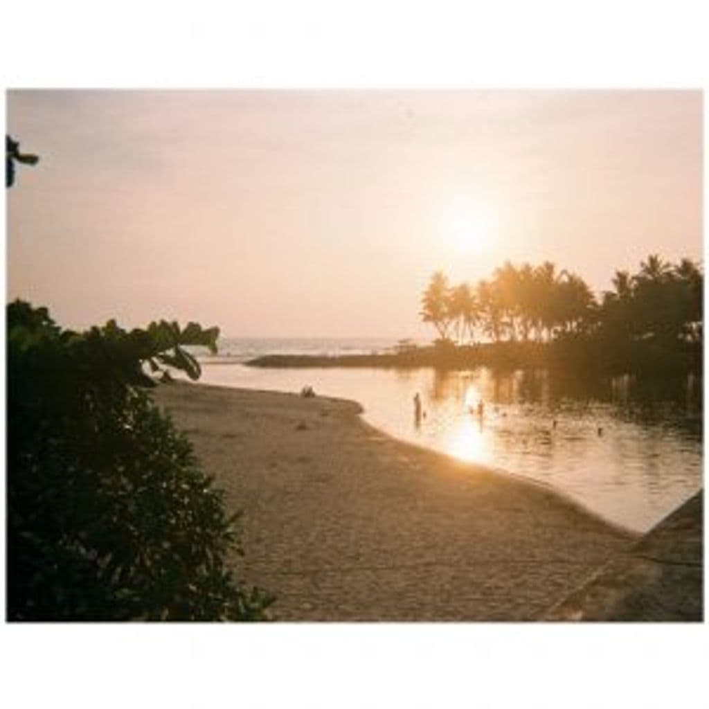 African Acid Is The Future // 25-09-20