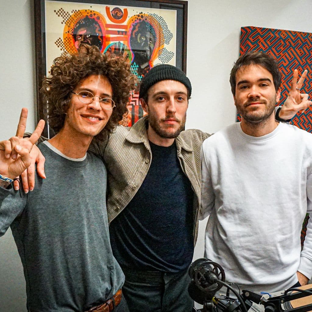 Oso Leone // 13-01-2020